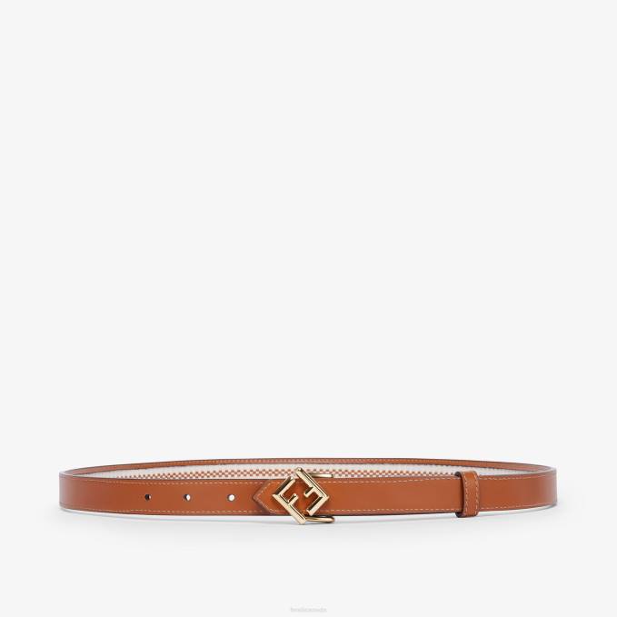 Women Canvas And Leather Reversible Belt Brown Fendi Accessories 6RHH97