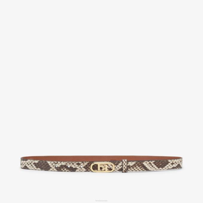 Women Elaphe Belt Brown Fendi Accessories 6RHH411