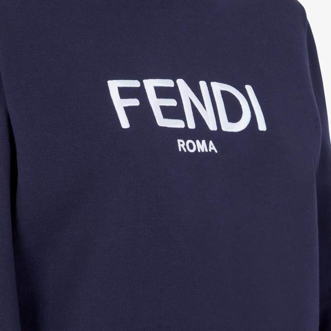Women Jersey Sweatshirt Blue Fendi Apparel 6RHH1219